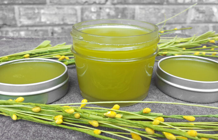 Arnica Plantain Pain Relieving Salve