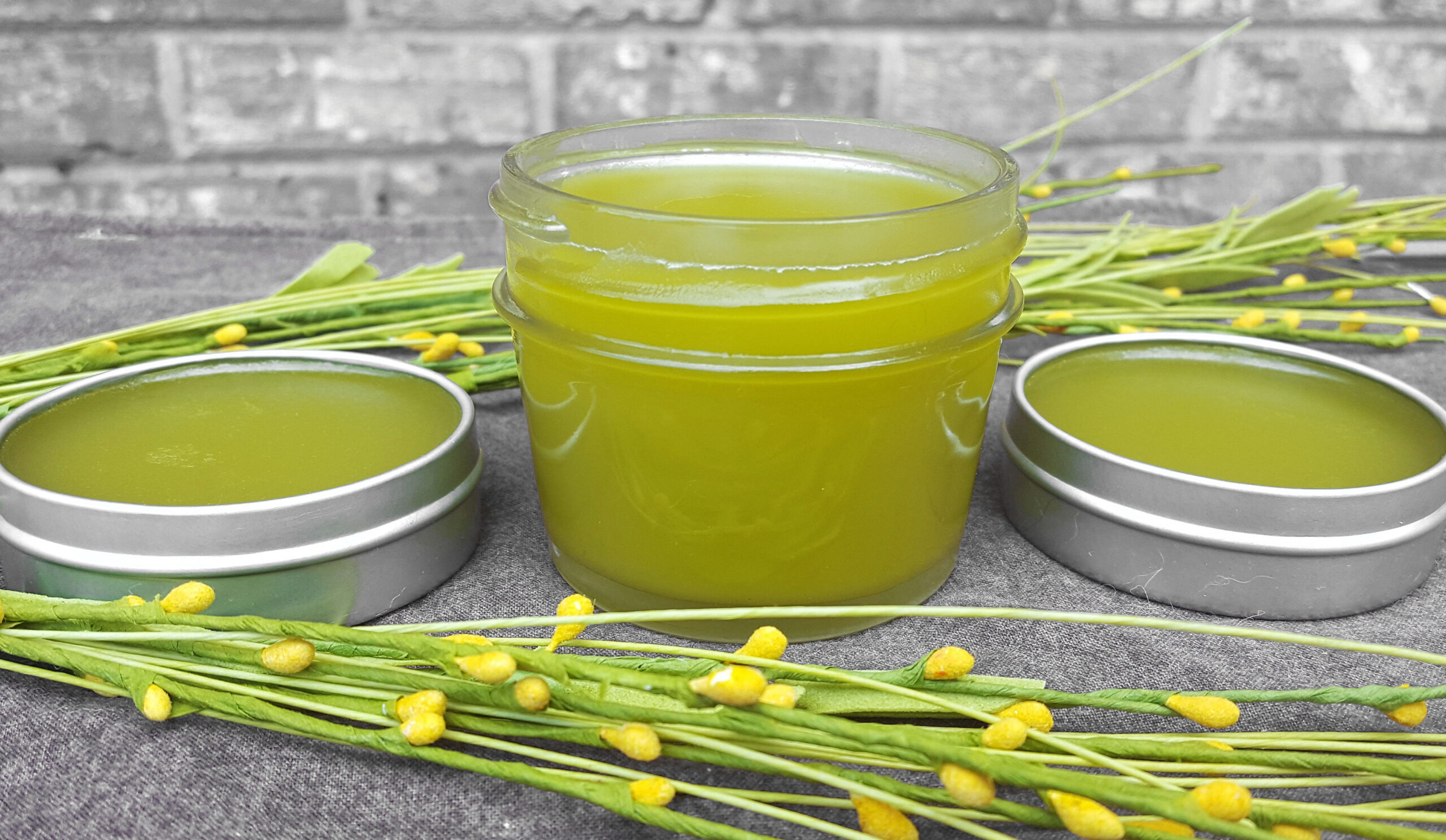 Arnica Plantain Pain Relieving Salve