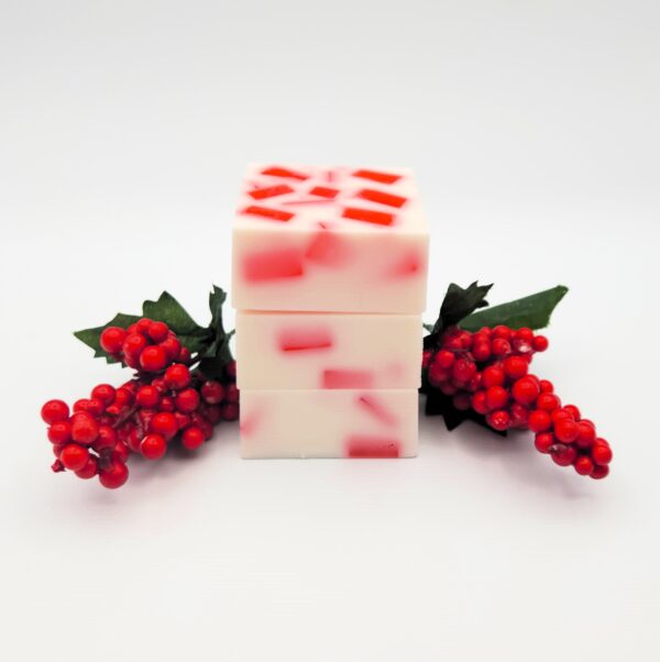Peppermint Candy Body Soap